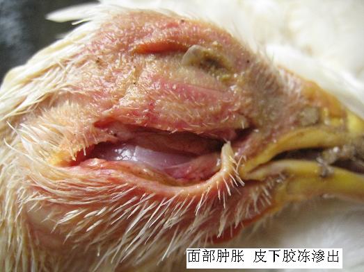 ���ʕr��ԓ��ʲô��λ��ʲô��λ�l(f��)��ʲô����